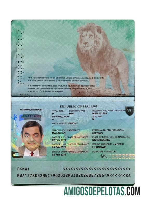 Passaporte do Malawi 2023 presente exemplo